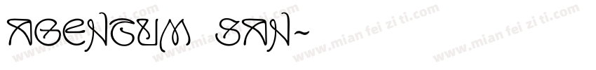 Agentum SAN字体转换